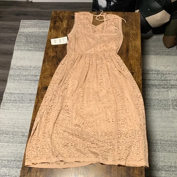 Zara Blush Pink Lace Midi Dress - Picture 2 of 4